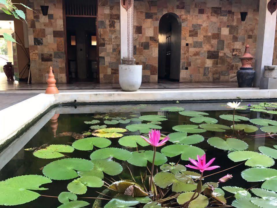 Jasmin Villa Ayurveda Resort Νεγκόμπο Εξωτερικό φωτογραφία